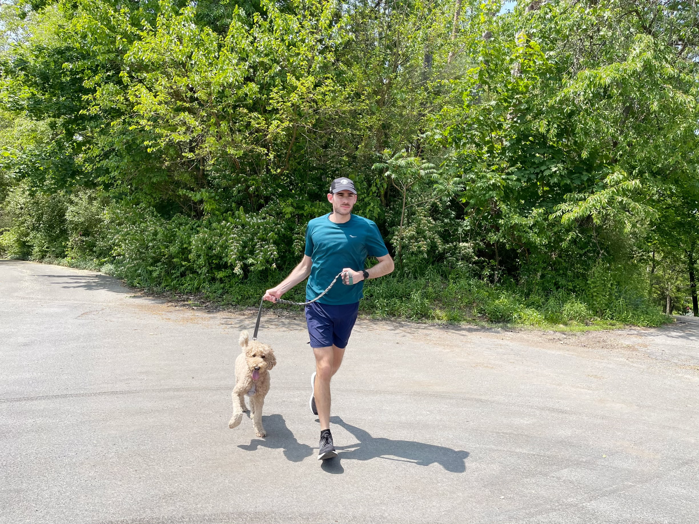 running with a dog